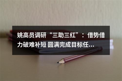 姚高员调研“三助三红”：借势借力破难补短 圆满完成目标任务