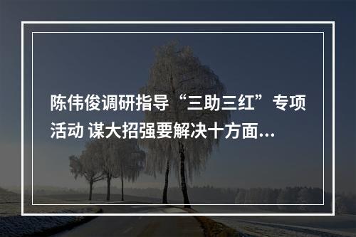 陈伟俊调研指导“三助三红”专项活动 谋大招强要解决十方面问题