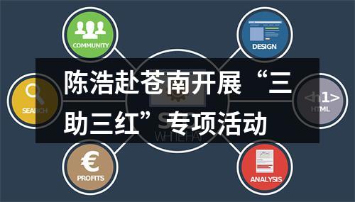 陈浩赴苍南开展“三助三红”专项活动