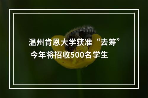 温州肯恩大学获准“去筹” 今年将招收500名学生