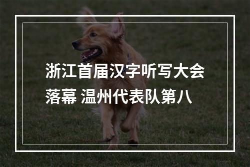 浙江首届汉字听写大会落幕 温州代表队第八