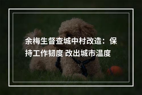 余梅生督查城中村改造：保持工作韧度 改出城市温度