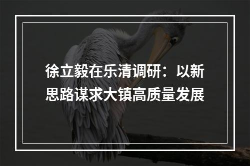 徐立毅在乐清调研：以新思路谋求大镇高质量发展