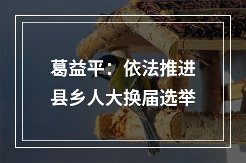 葛益平：依法推进县乡人大换届选举
