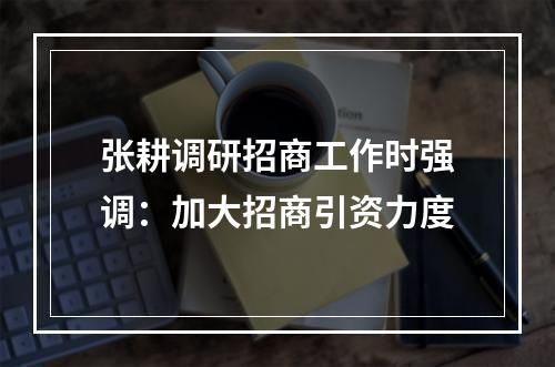 张耕调研招商工作时强调：加大招商引资力度