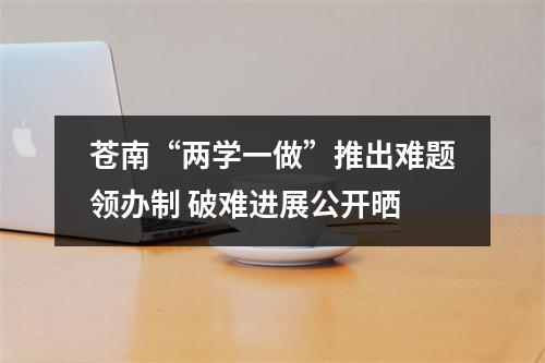 苍南“两学一做”推出难题领办制 破难进展公开晒