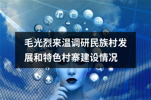 毛光烈来温调研民族村发展和特色村寨建设情况