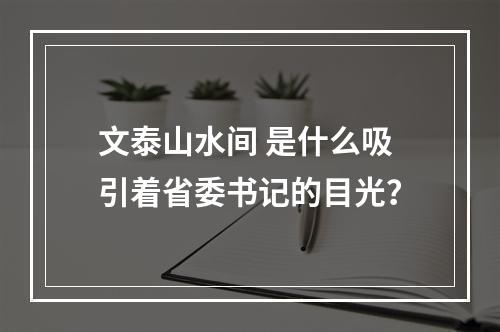 文泰山水间 是什么吸引着省委书记的目光？