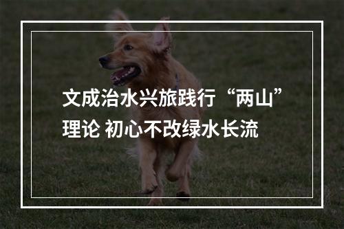 文成治水兴旅践行“两山”理论 初心不改绿水长流