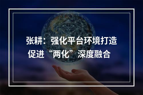 张耕：强化平台环境打造 促进“两化”深度融合