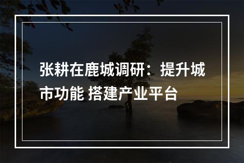 张耕在鹿城调研：提升城市功能 搭建产业平台