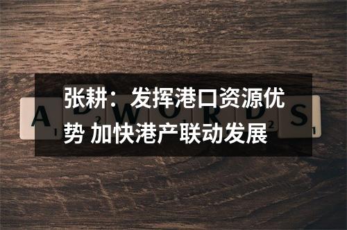 张耕：发挥港口资源优势 加快港产联动发展