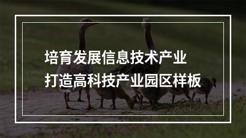 培育发展信息技术产业 打造高科技产业园区样板