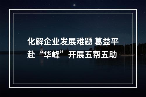 化解企业发展难题 葛益平赴“华峰”开展五帮五助