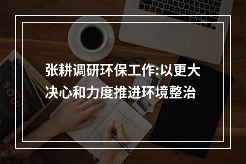 张耕调研环保工作:以更大决心和力度推进环境整治