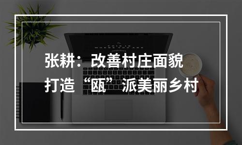张耕：改善村庄面貌 打造“瓯”派美丽乡村