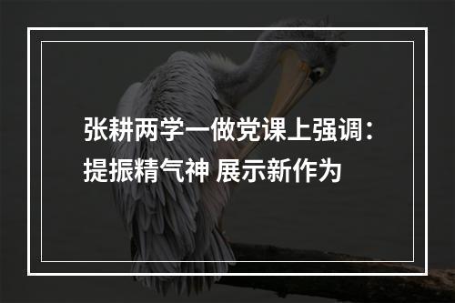 张耕两学一做党课上强调：提振精气神 展示新作为