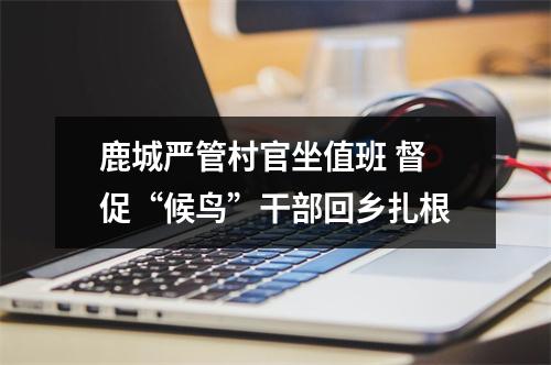 鹿城严管村官坐值班 督促“候鸟”干部回乡扎根
