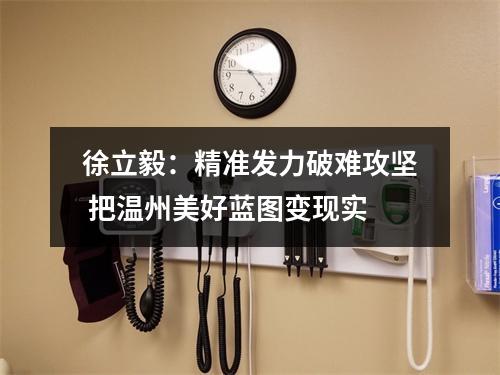 徐立毅：精准发力破难攻坚 把温州美好蓝图变现实