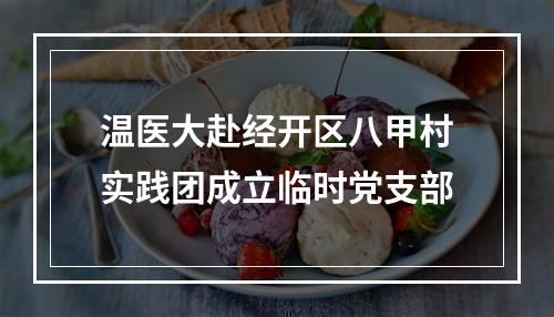 温医大赴经开区八甲村实践团成立临时党支部