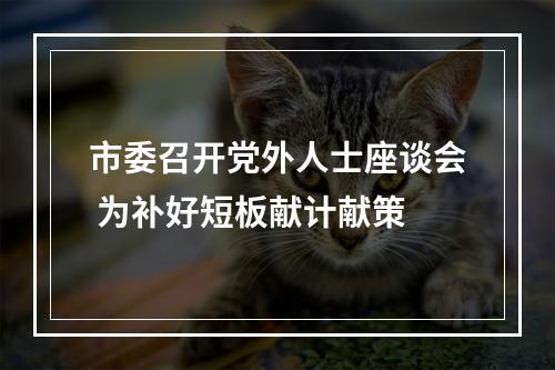 市委召开党外人士座谈会 为补好短板献计献策