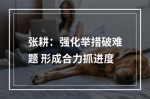 张耕：强化举措破难题 形成合力抓进度
