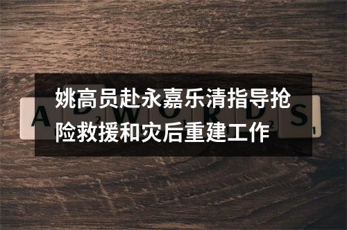 姚高员赴永嘉乐清指导抢险救援和灾后重建工作