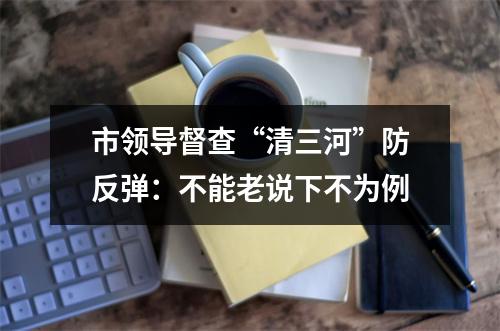 市领导督查“清三河”防反弹：不能老说下不为例