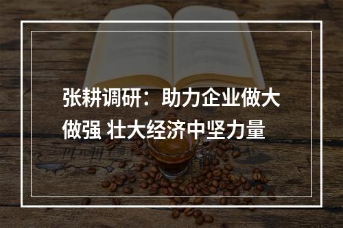 张耕调研：助力企业做大做强 壮大经济中坚力量