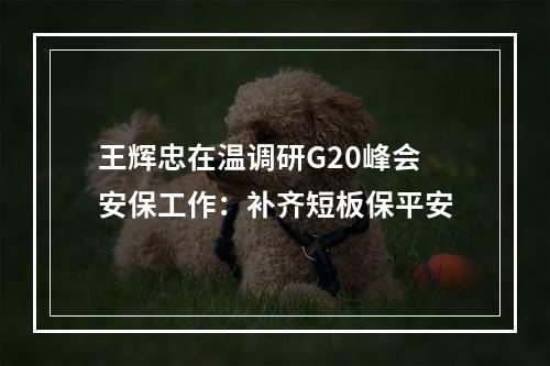 王辉忠在温调研G20峰会安保工作：补齐短板保平安