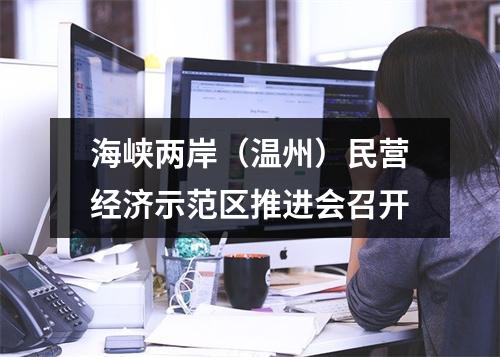 海峡两岸（温州）民营经济示范区推进会召开