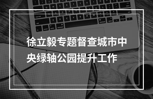 徐立毅专题督查城市中央绿轴公园提升工作