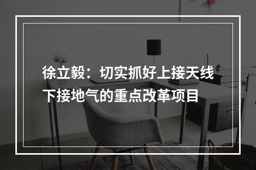 徐立毅：切实抓好上接天线下接地气的重点改革项目