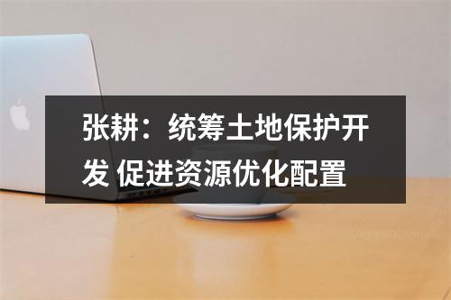 张耕：统筹土地保护开发 促进资源优化配置