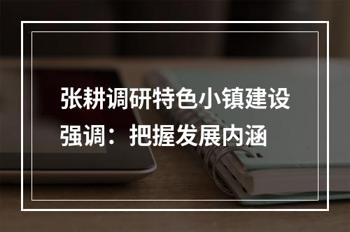 张耕调研特色小镇建设强调：把握发展内涵