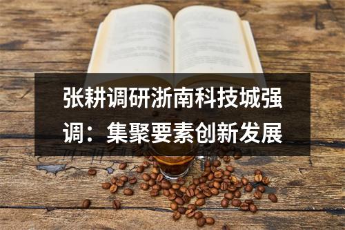 张耕调研浙南科技城强调：集聚要素创新发展