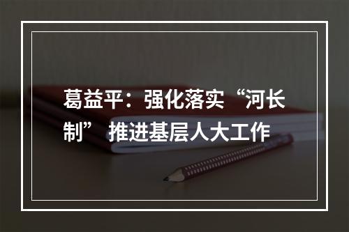 葛益平：强化落实“河长制” 推进基层人大工作