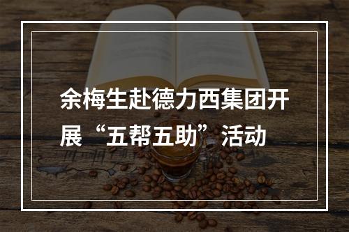 余梅生赴德力西集团开展“五帮五助”活动