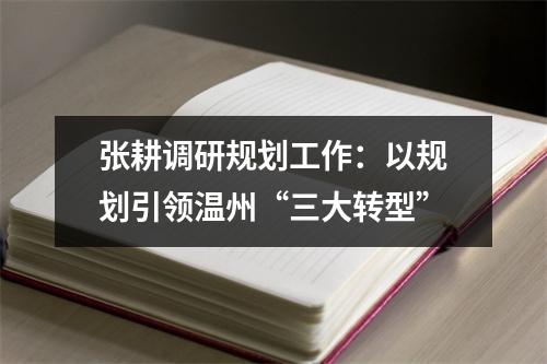 张耕调研规划工作：以规划引领温州“三大转型”