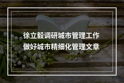 徐立毅调研城市管理工作 做好城市精细化管理文章
