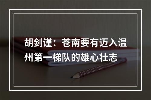 胡剑谨：苍南要有迈入温州第一梯队的雄心壮志