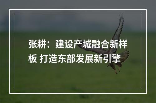 张耕：建设产城融合新样板 打造东部发展新引擎