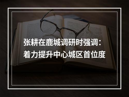 张耕在鹿城调研时强调：着力提升中心城区首位度