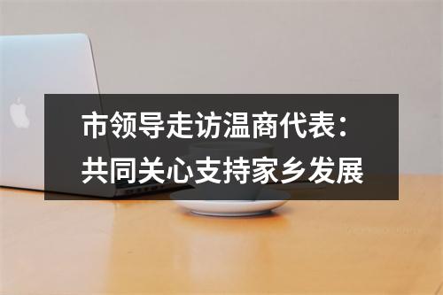 市领导走访温商代表：共同关心支持家乡发展