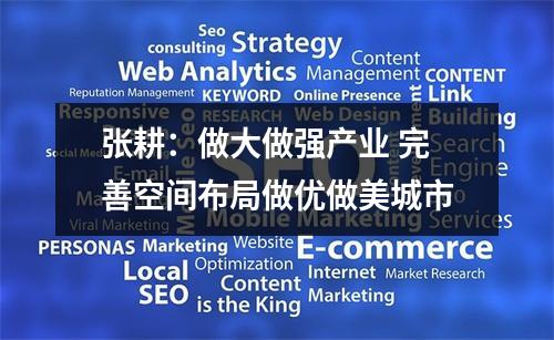 张耕：做大做强产业 完善空间布局做优做美城市