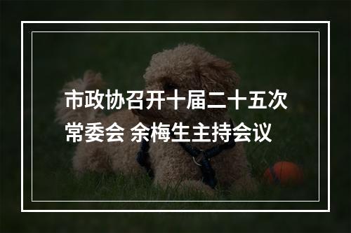 市政协召开十届二十五次常委会 余梅生主持会议