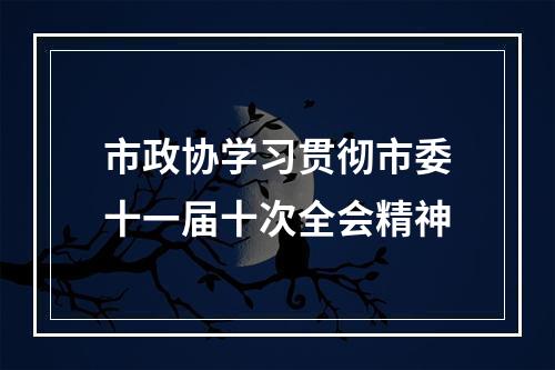 市政协学习贯彻市委十一届十次全会精神
