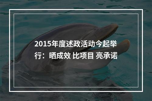 2015年度述政活动今起举行：晒成效 比项目 亮承诺