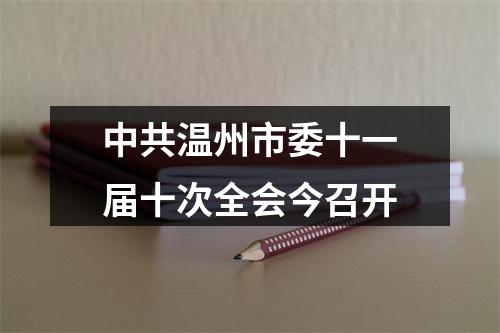 中共温州市委十一届十次全会今召开