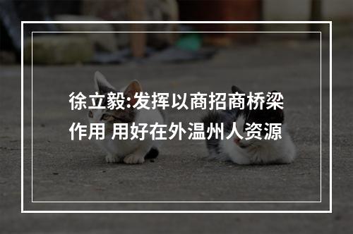 徐立毅:发挥以商招商桥梁作用 用好在外温州人资源